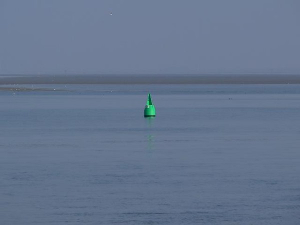 Watt mit Wasser